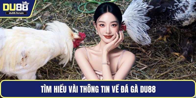 Tìm hiểu vài thông tin về đá gà DU88