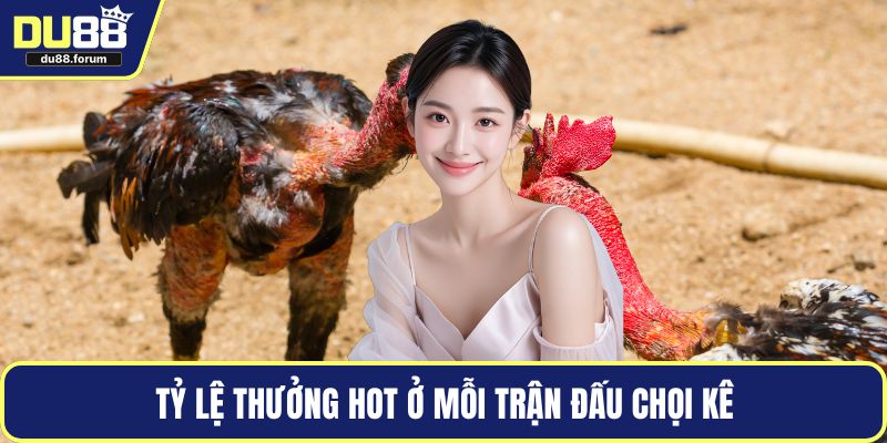 Tỷ lệ thưởng hot ở mỗi trận đấu chọi kê